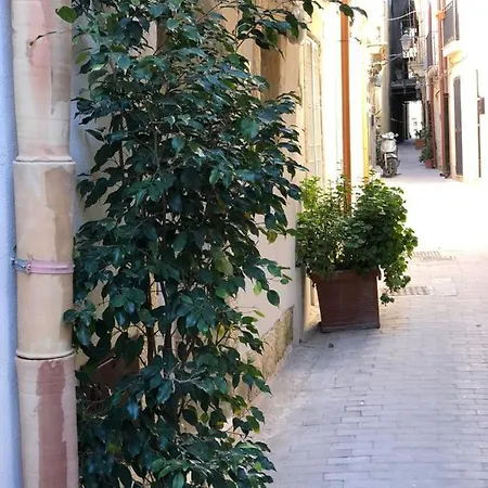Oliva Charme House Apartment Syracuse